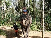 Kerala Tour Packages