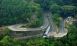 Wayanad Tour Packages