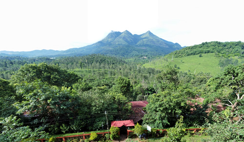 Wayanad Tour Packages