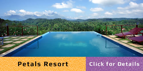 Wayanad Tour Packages