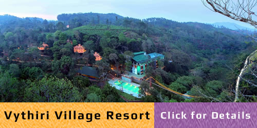 Wayanad Tour Packages