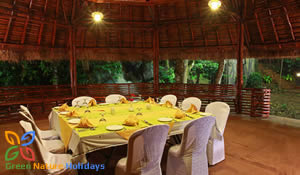 Wayanad Tour Packages